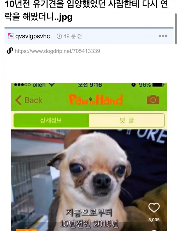4811e16e85ec86a62dfb9604f5d69ed6_1780478960_0156.jpeg